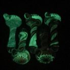1f266ccd5ebcc241bd140e1828d2c3a6.jpg