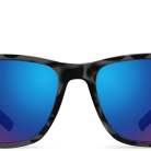 e19155e5b7604028ed3384430970d0ec.png