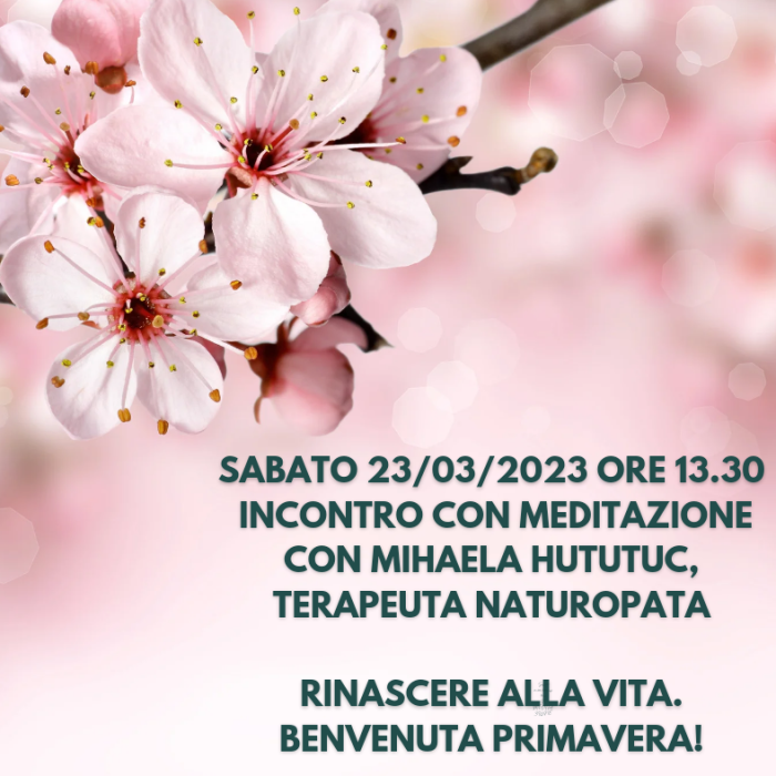 9e1c6a25b2393c55bbf1f77eeb747ae9.png